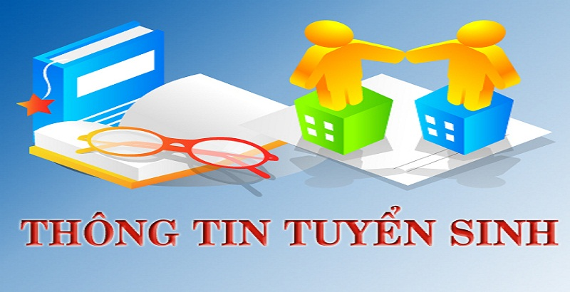 Các dịch vụ và thông tin cung cấp