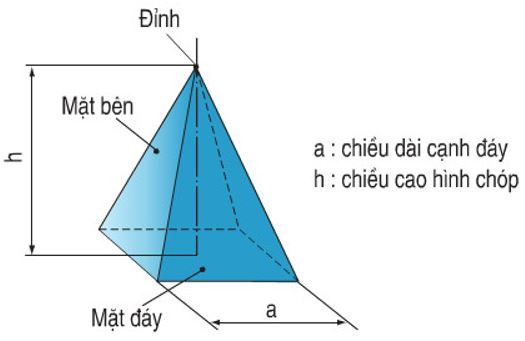 Khái Niệm Cơ Bản Về Hình Chóp Đều