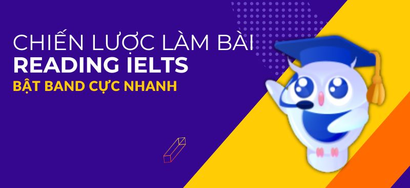 Chiến Lược Làm Bài Reading IELTS hiệu quả